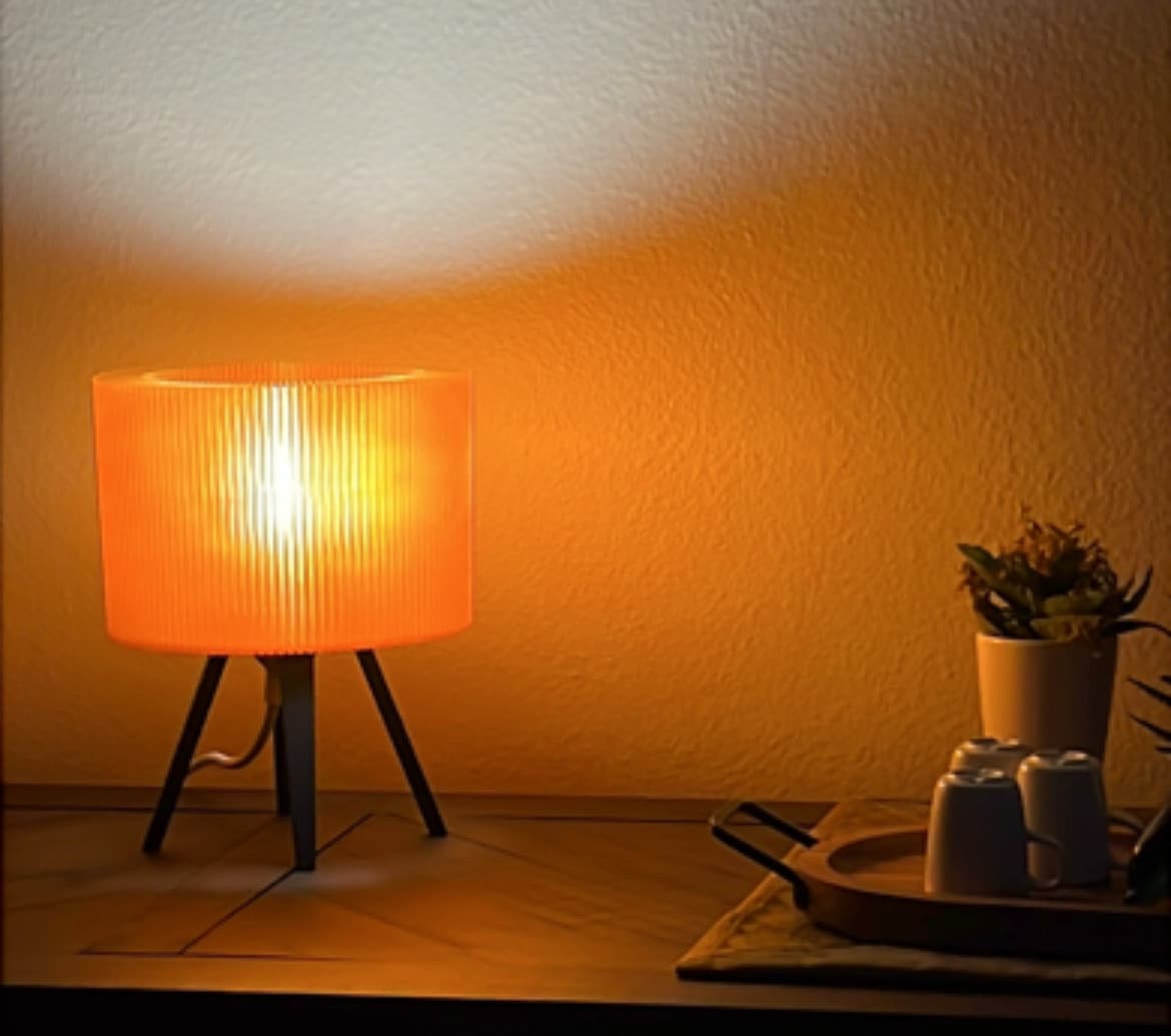 Transform Your Space with Custom 3D Printed Solutions: From Mood Lighting to Pet Portraits
